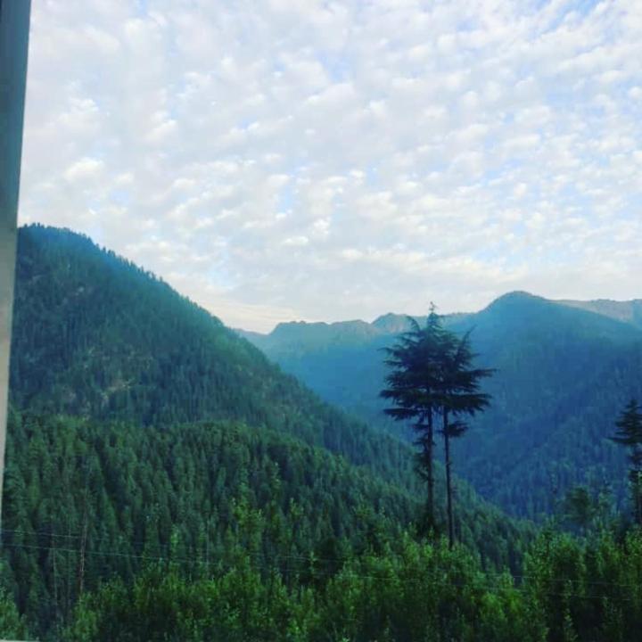 Tree Hub Jibhi公寓 外观 照片