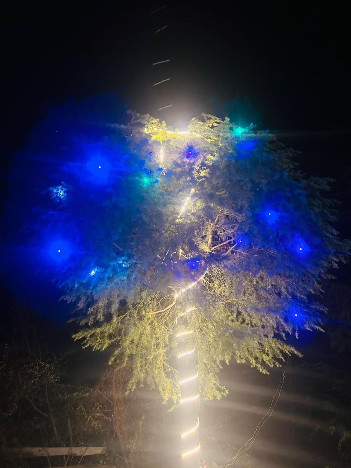 Tree Hub Jibhi公寓 外观 照片