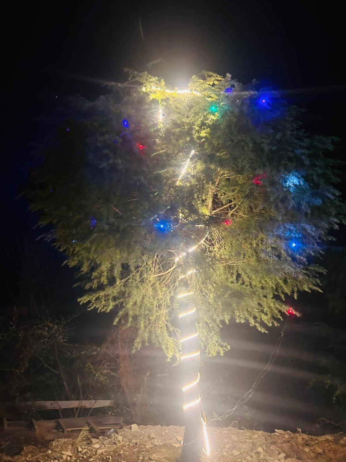 Tree Hub Jibhi公寓 外观 照片